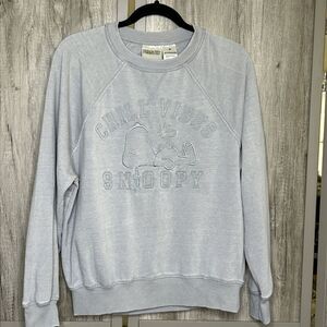 Peanuts Snoopy Sweatshirt Chill Vibes Gray Over Dye Size M